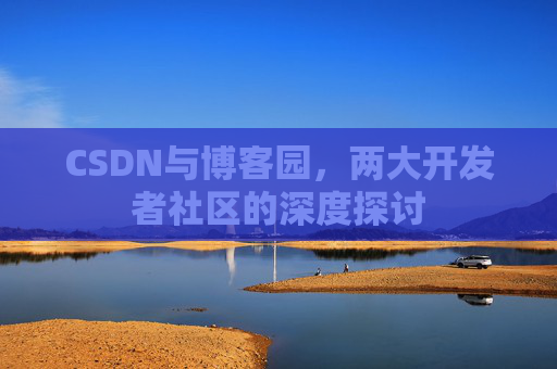 CSDN与博客园，两大开发者社区的深度探讨