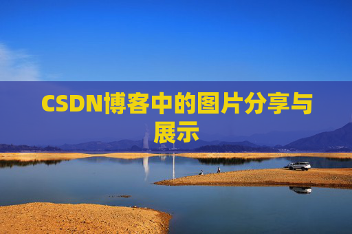 CSDN博客中的图片分享与展示